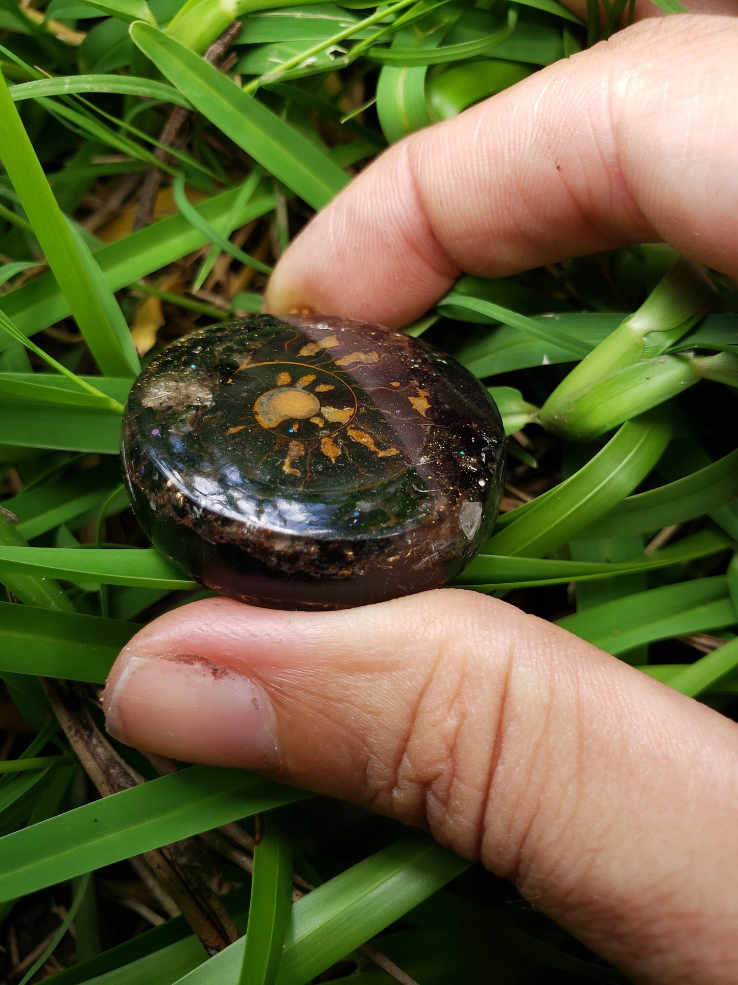 Ammonite  orgone pendant. Made w Elite Shungite, Selenite, Tensor Ring and Hematite  . Powerful. EMF Protection.